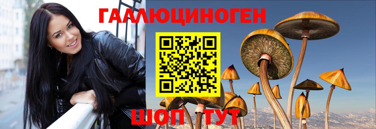 Буйнакск  Галлюциногенные грибы MAGIC MUSHROOMS  Вход с VPN  Галлюциногенные грибы Cubensis 